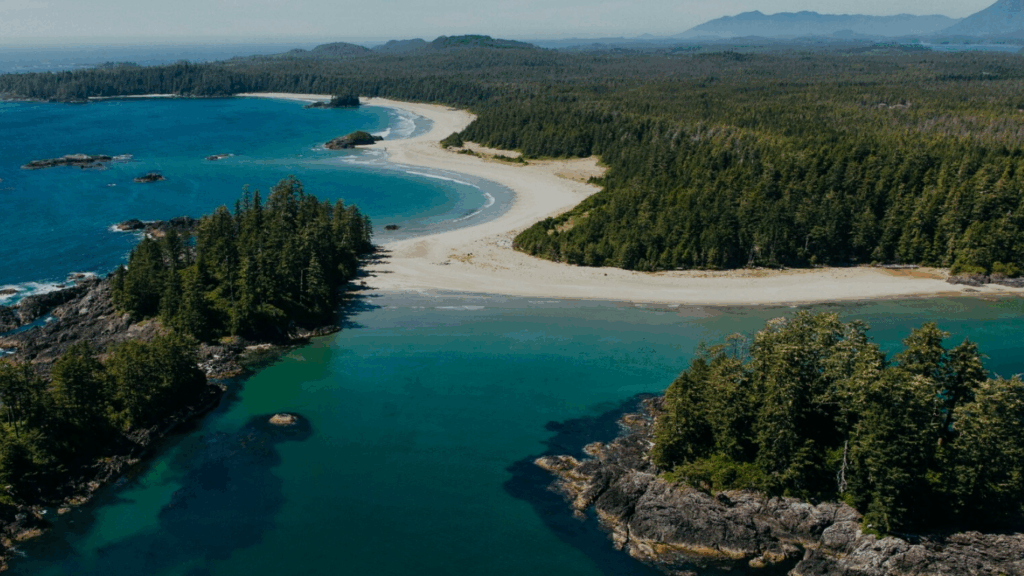 Tofino